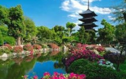 NHẬT BẢN: TOKYO - HITACHI PARK - NÚI PHÚ SĨ - NAGOYA - KYOTO - OSAKA - KOBE